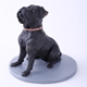 Picture of Black Pet Dog Sharpei Bobblehead